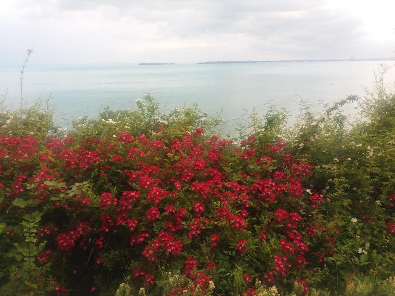 Hotel Sea Vista Sveti Vlas Bagian luar foto